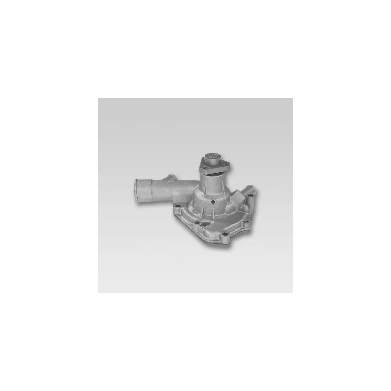 Pompe à eau HEPU P1065