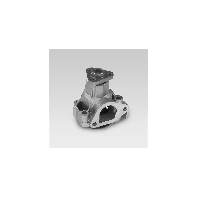 Pompe à eau HEPU P108