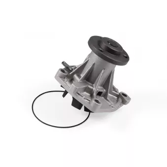 Pompe à eau HEPU P1081