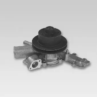 Pompe à eau HEPU P1083