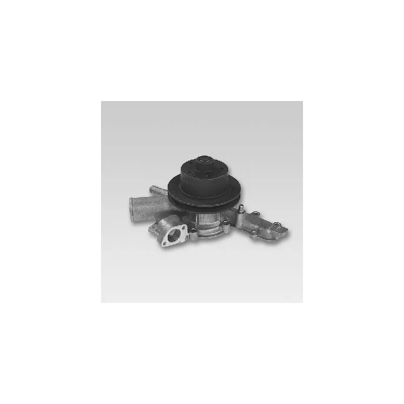 Pompe à eau HEPU P1083