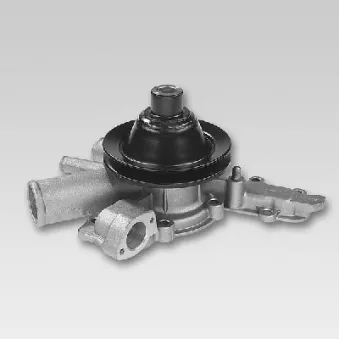 Pompe à eau HEPU P1084