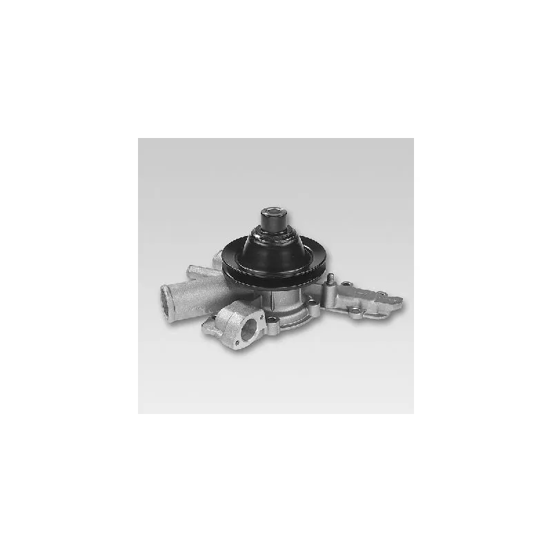 Pompe à eau HEPU P1084