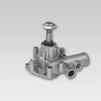 Pompe à eau HEPU P1085