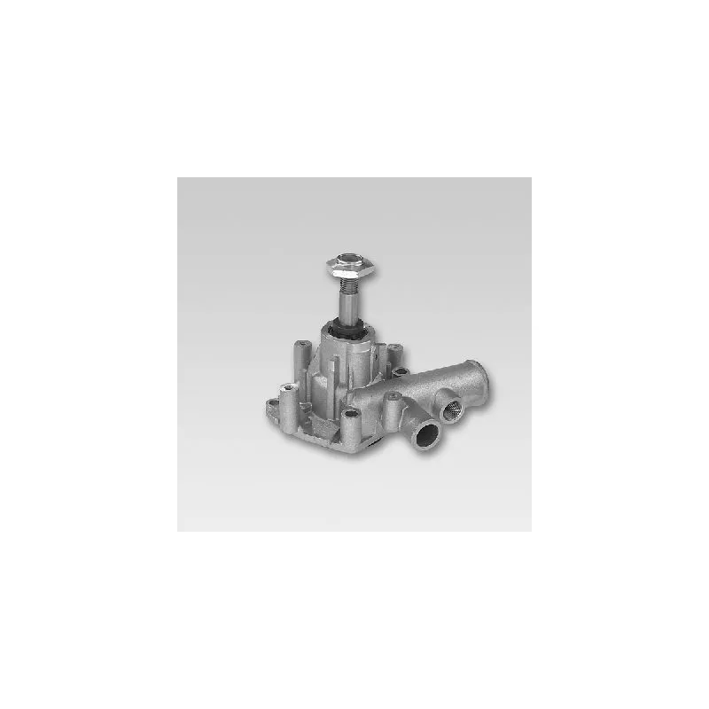 Pompe à eau HEPU P1085