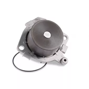 Pompe à eau HEPU P1087