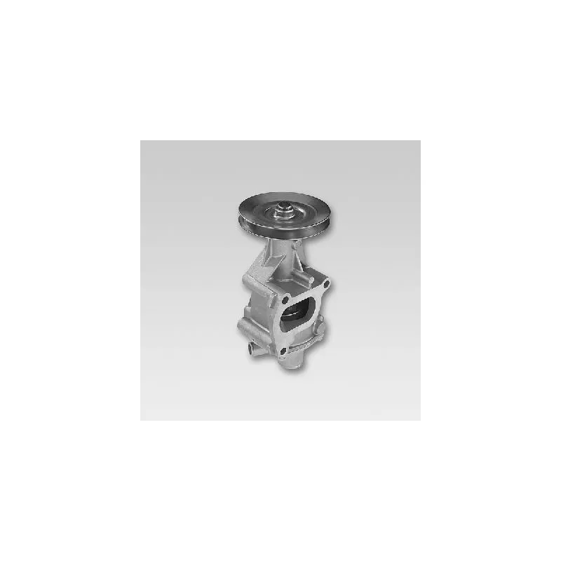 Pompe à eau HEPU P109