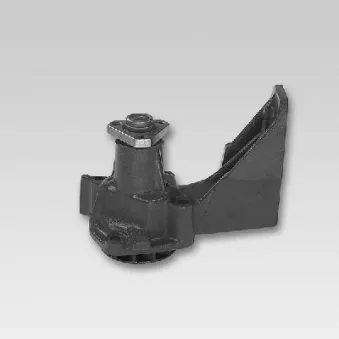 Pompe à eau HEPU P110