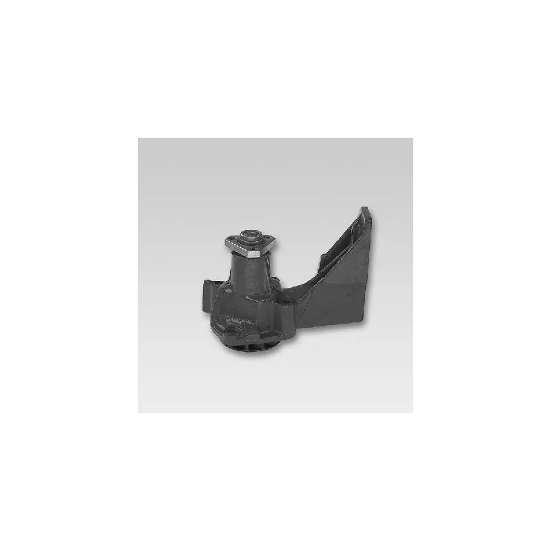 Pompe à eau HEPU P110