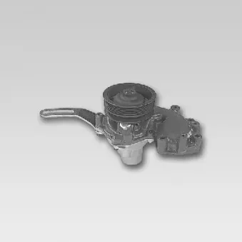 Pompe à eau HEPU P111