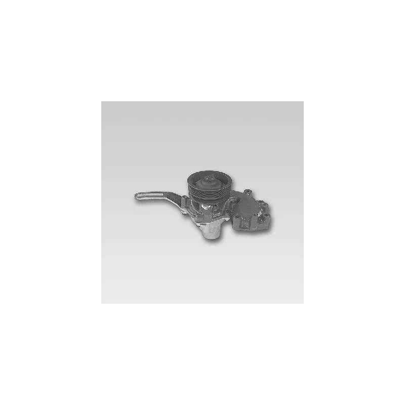 Pompe à eau HEPU P111