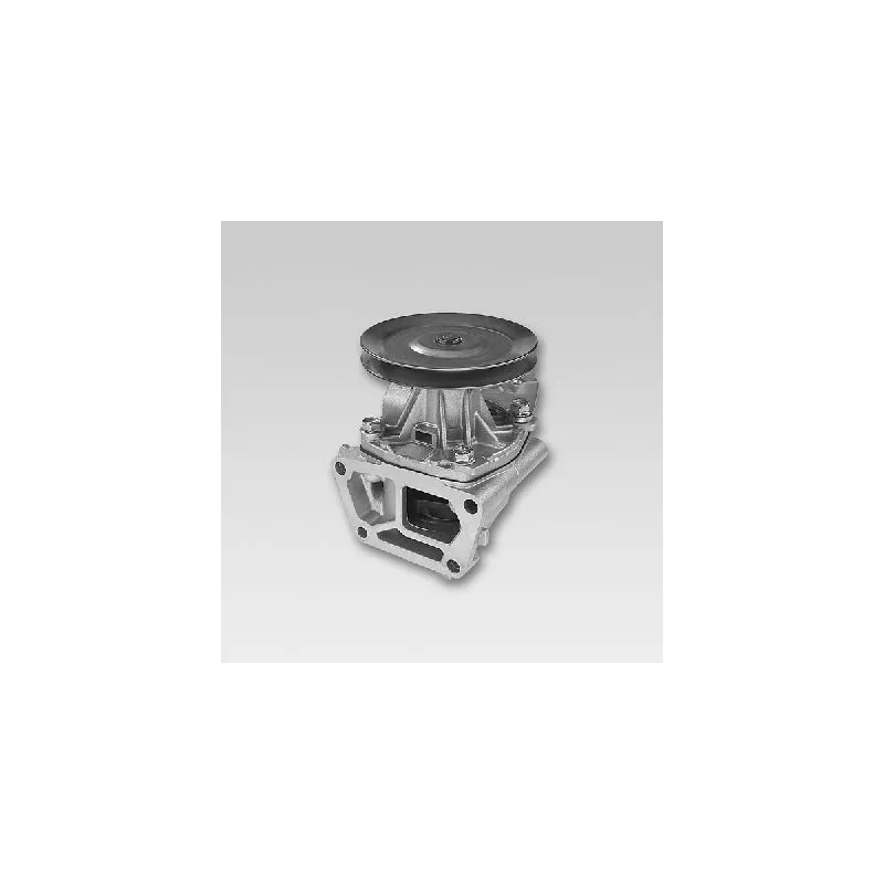 Pompe à eau HEPU P112