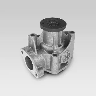 Pompe à eau HEPU P114