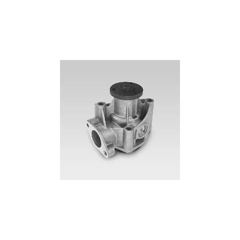 Pompe à eau HEPU P114