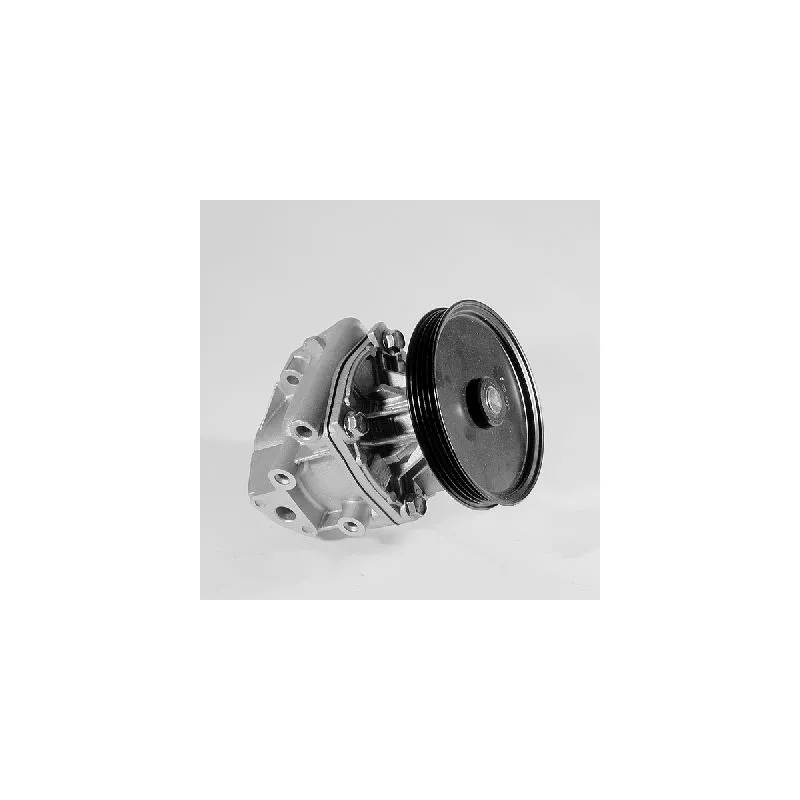 Pompe à eau HEPU P115