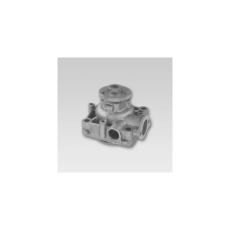 Pompe à eau HEPU P1157