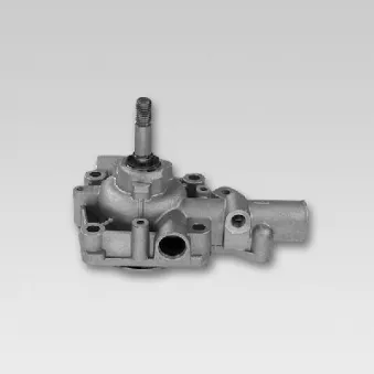 Pompe à eau HEPU P1163