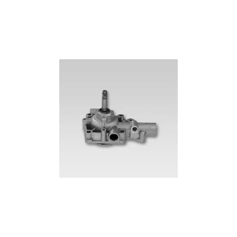 Pompe à eau HEPU P1163