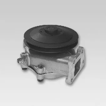 Pompe à eau HEPU P117