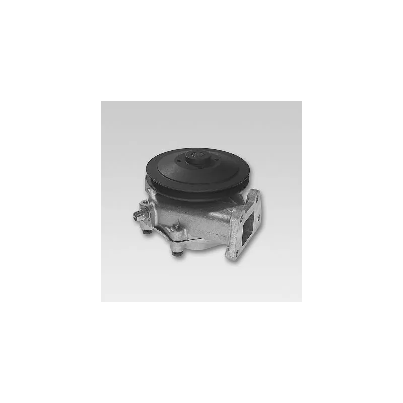 Pompe à eau HEPU P117
