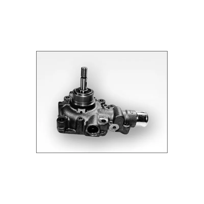 Pompe à eau HEPU P1197