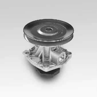 Pompe à eau HEPU P120