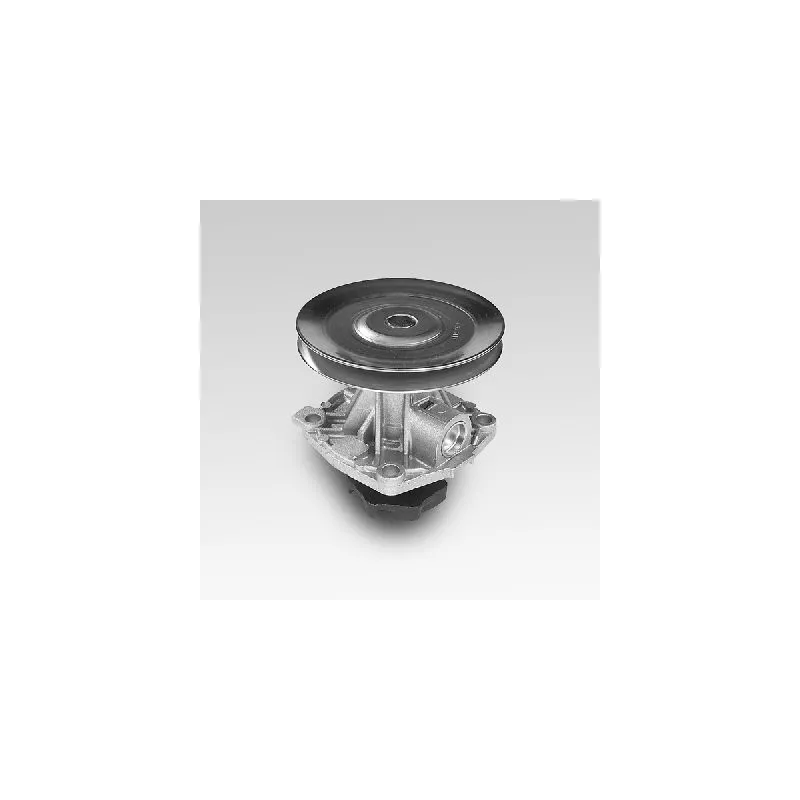 Pompe à eau HEPU P120