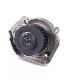 Pompe à eau HEPU P1201