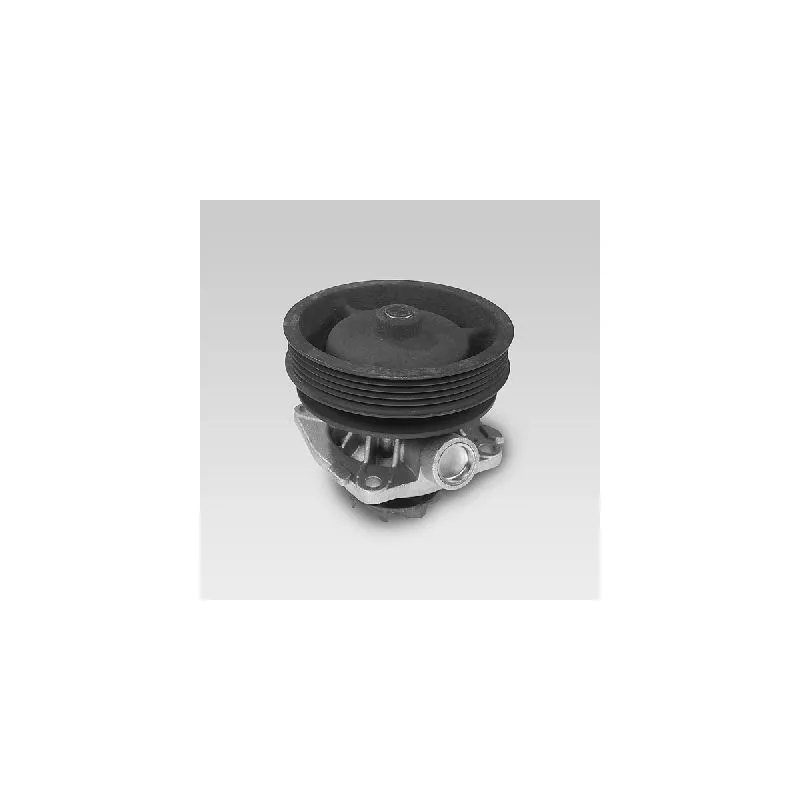 Pompe à eau HEPU P122