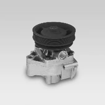 Pompe à eau HEPU P123