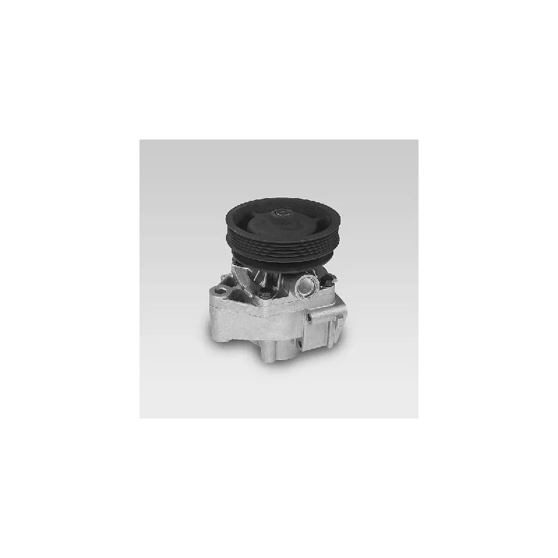 Pompe à eau HEPU P123