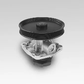 Pompe à eau HEPU P125