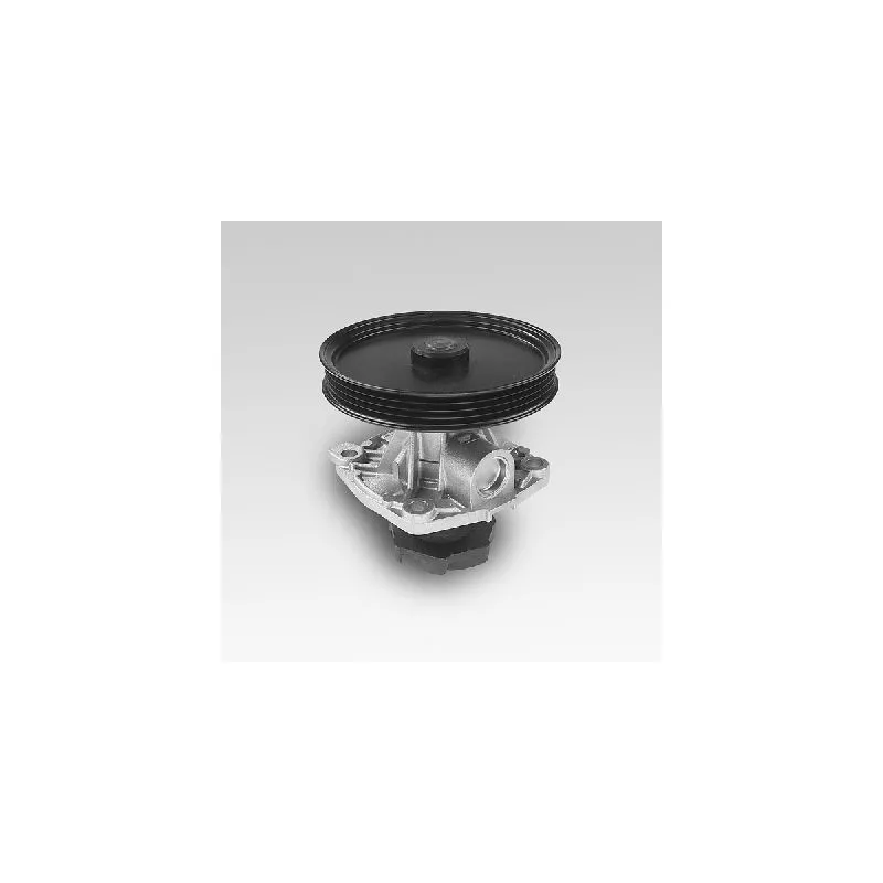 Pompe à eau HEPU P125
