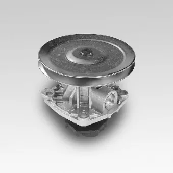 Pompe à eau HEPU P126