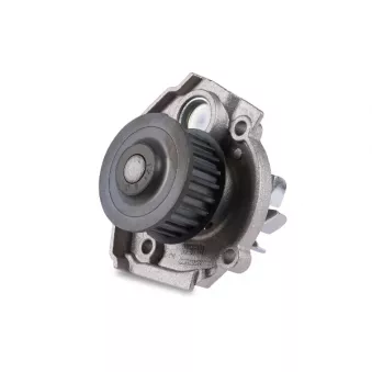 Pompe à eau HEPU P127