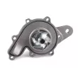 Pompe à eau HEPU P130 - Visuel 2