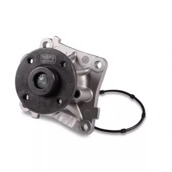 Pompe à eau HEPU P131