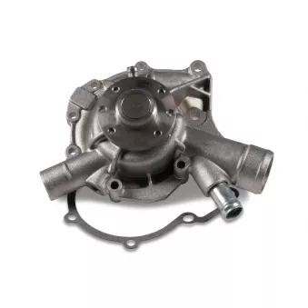 Pompe à eau HEPU P145