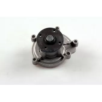 Pompe à eau HEPU P1515