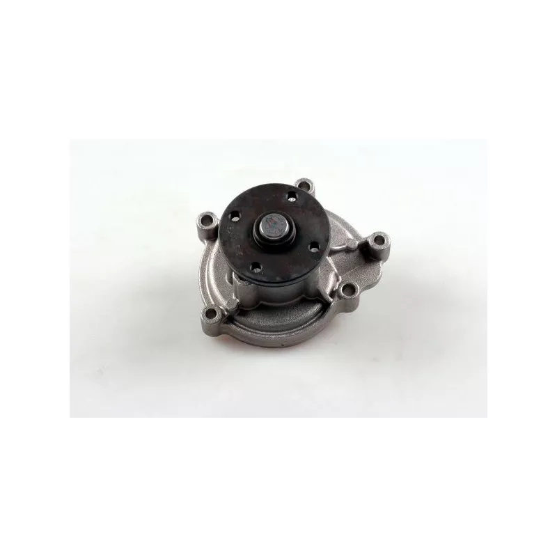 Pompe à eau HEPU P1515