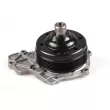 Pompe à eau HEPU P1519A - Visuel 1