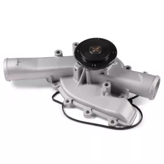 Pompe à eau HEPU P1524