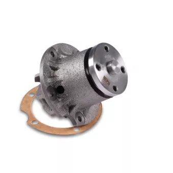 Pompe à eau HEPU P154