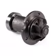 Pompe à eau HEPU P155/40 - Visuel 2