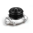Pompe à eau HEPU P1552A - Visuel 3