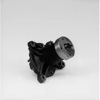 Pompe à eau HEPU P157