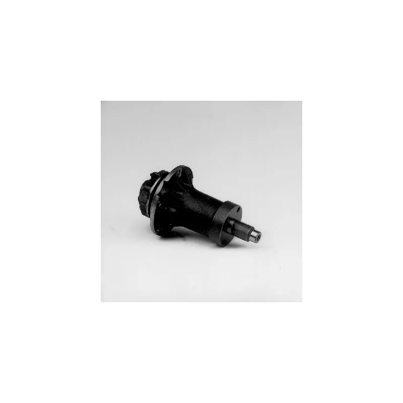 Pompe à eau HEPU P158