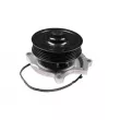 Pompe à eau HEPU P1589 - Visuel 1