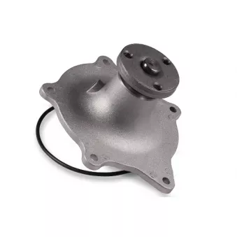 Pompe à eau HEPU P1712