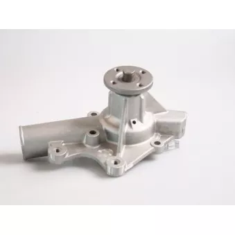 Pompe à eau HEPU P1718